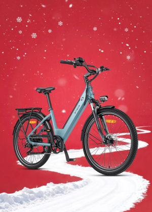 Xe Đạp Điện Trợ Lực Engwe P275 SE