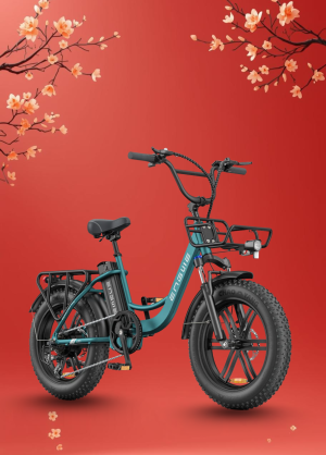 Xe Đạp Điện Trợ Lực Engwe L20 Boost