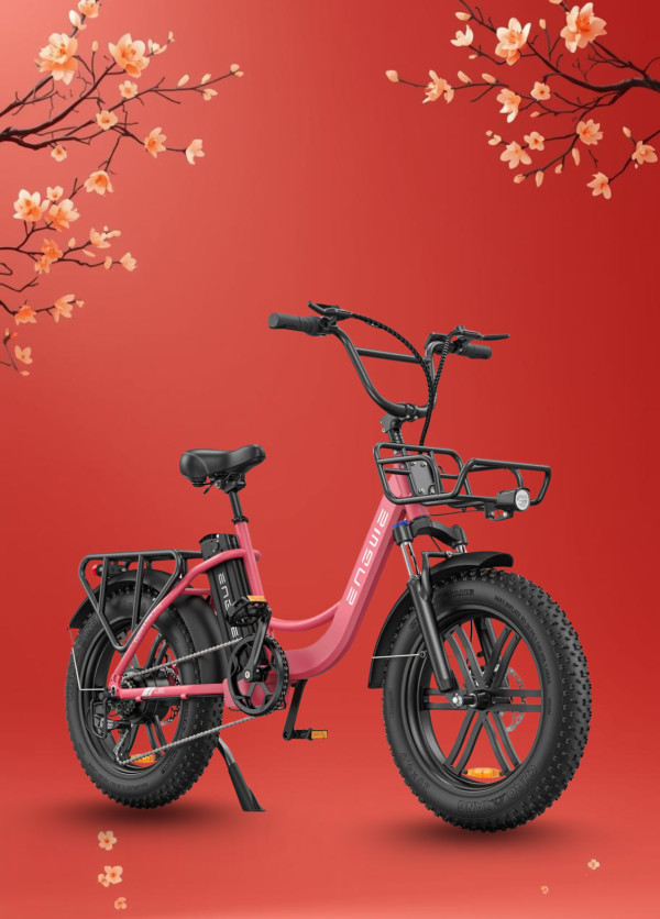 Xe Đạp Điện Trợ Lực ENGWE L20