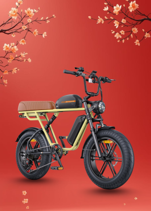 Xe Đạp Điện Trợ Lực Engwe M1