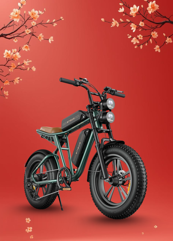 Xe Đạp Điện Trợ Lực Engwe M20