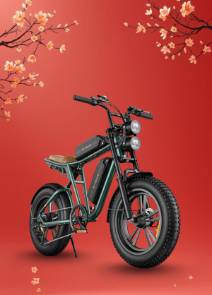 Xe Đạp Điện Trợ Lực Engwe M20