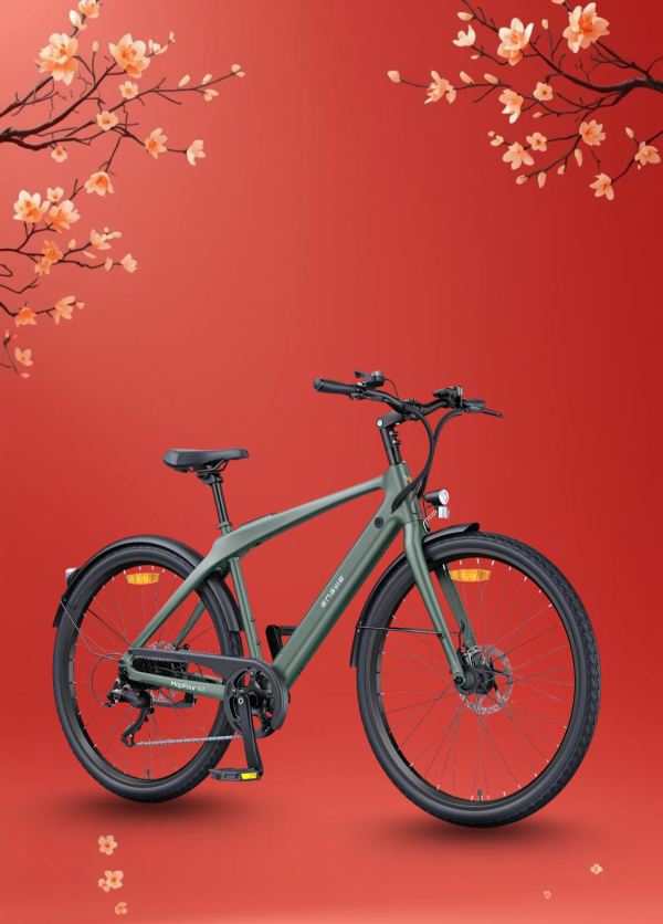 Xe Đạp Điện Trợ Lực Engwe MapFour N1 Air