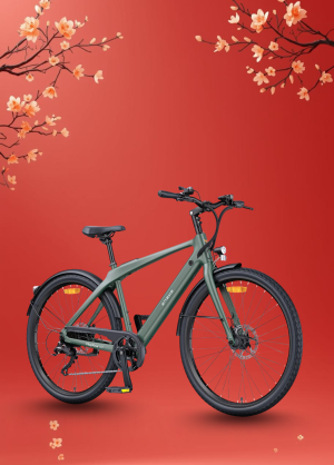 Xe Đạp Điện Trợ Lực Engwe MapFour N1 Air