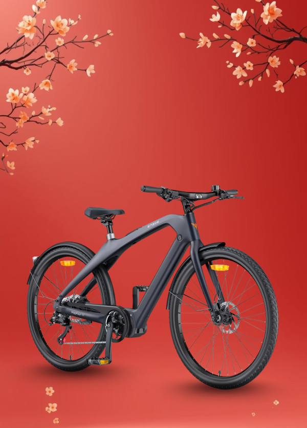 Xe Đạp Điện Trợ Lực Engwe Mapfour N1 Pro