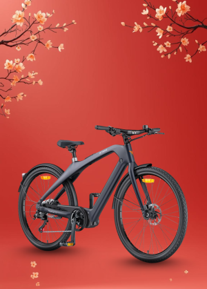 Xe Đạp Điện Trợ Lực Engwe Mapfour N1 Pro