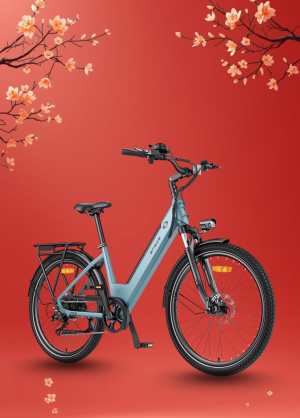 Xe Đạp Điện Trợ Lực Engwe P275 SE