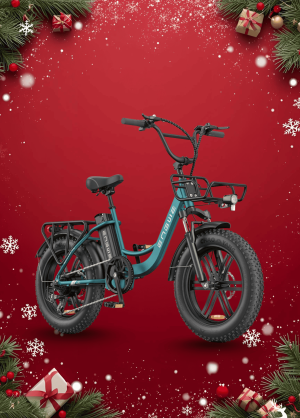 Xe Đạp Điện Trợ Lực Engwe L20 Boost