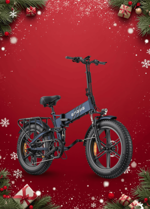 Xe Đạp Điện Trợ Lực Engwe Pro 2.0