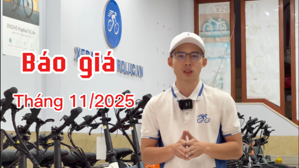 Giá mới nhất của các mẫu xe tại cửa hàng Xe Đạp Điện Trợ Lực