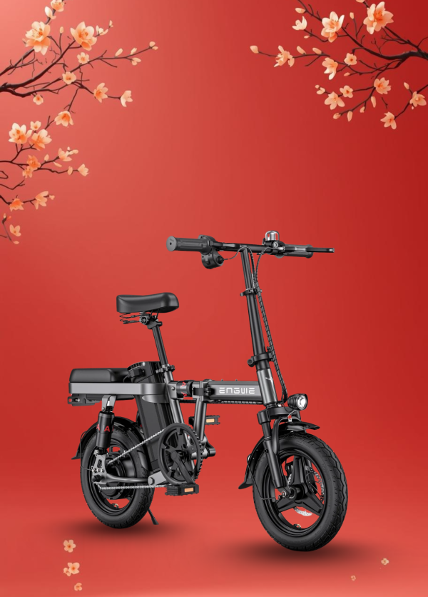 Xe Đạp Điện Trợ Lực ENGWE T14