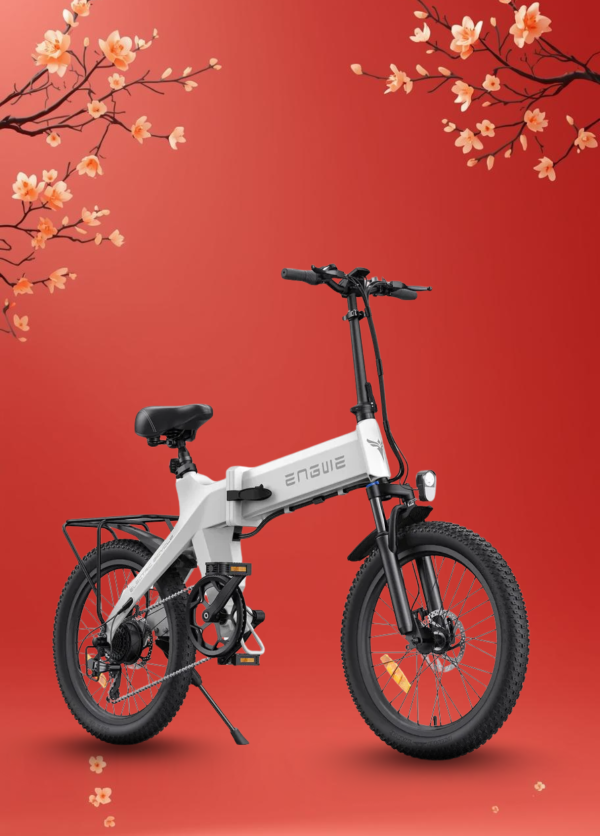 Xe Đạp Điện Trợ Lực ENGWE C20 PRO