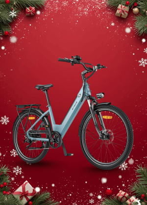 Xe Đạp Điện Trợ Lực Engwe P275 SE