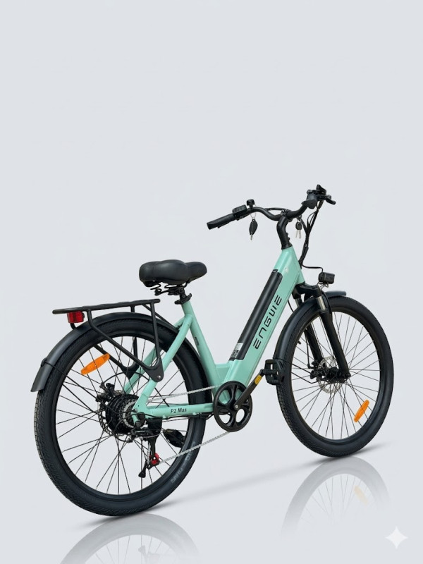 Xe Đạp Điện Trợ Lực Engwe P2 MAX