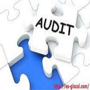Financial statement audit
