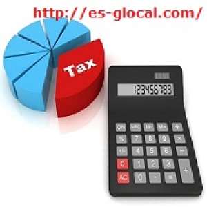 Tax consulting service