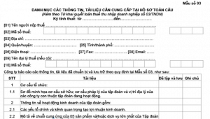 Mẫu số 03 kèm theo Nghị định 20 năm 2017