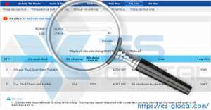 Tra cứu số tiền thuế nộp thừa, nộp thiếu và nghĩa vụ thuế của doanh nghiệp