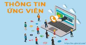 Form thông tin ứng viên Hãng Kiểm  toán ES-GLOCAL