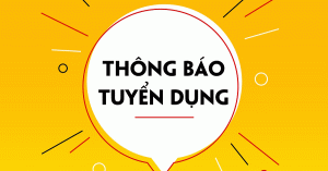 Thông báo tuyển dụng Trợ lý kiểm toán viên BCTC, Nhân viên kế toán năm 2024