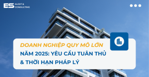 Doanh nghiệp quy mô lớn 2025: Yêu cầu tuân thủ và các thời hạn pháp lý quan trọng