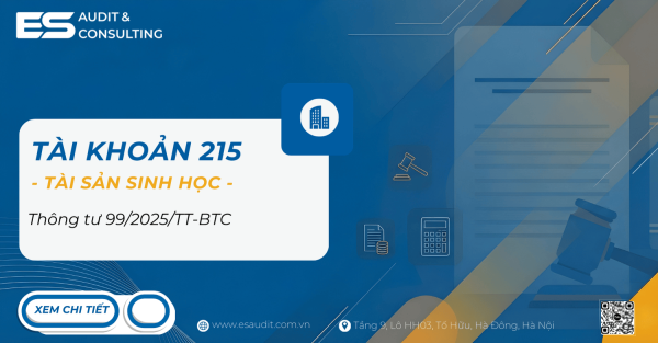 Tài khoản 215 là gì ? TK  215 hạch toán như thế nào ?