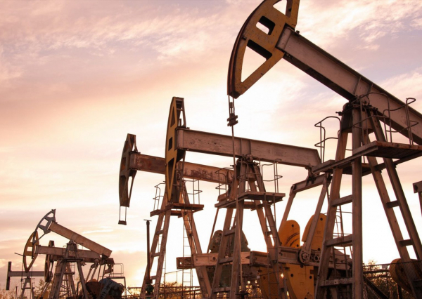 oil-4