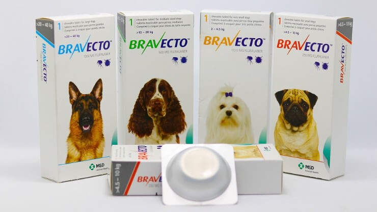 Thuốc diệt rắn Bravecto cho chó