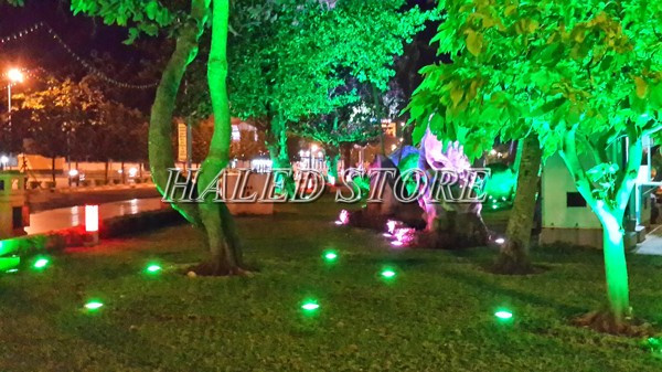 Đèn ánh sáng xanh tạo cảm giác huyền ảo
