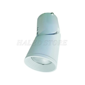 den-led-roi-ray-hldh-dib0155-15