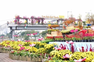 mau-trang-tri-thuyen-hoa-go-ngay-tet