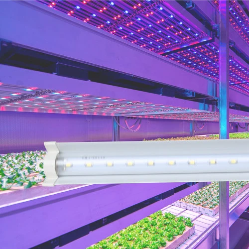 Đèn LED UV là gì