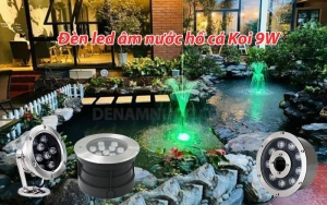 den-led-am-nuoc-ho-ca-3