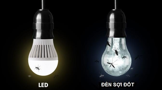 Các loại bóng đèn LED sẽ ít thu hút côn trùng hơn bóng đèn sợi đốt.