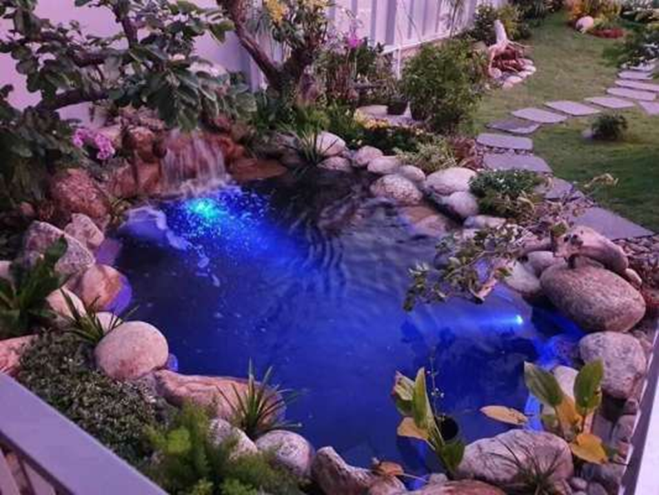 đèn âm nước hồ cá