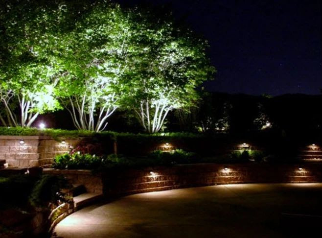 Các mẫu đèn chiếu cây của Rạng Đông hiện đang rất được ưa chuộng trên thị trường.