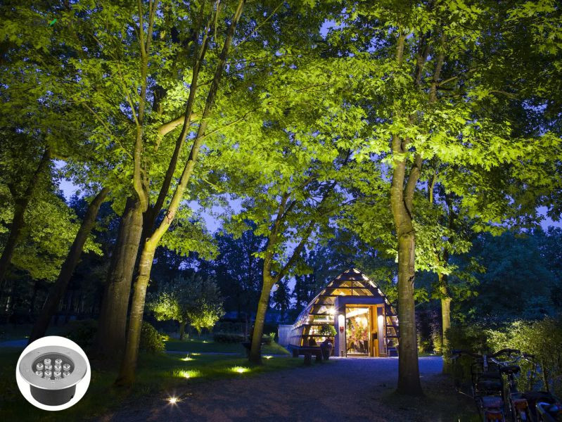 Đèn LED âm đất chiếu cây