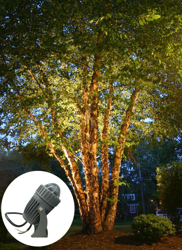 Đèn LED chiếu hắt cây