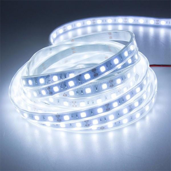 Đèn LED dây ngâm nước