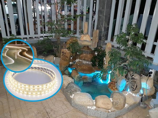 Đèn LED dây được dùng làm viền cho hồ cá tiểu cảnh sân vườn.