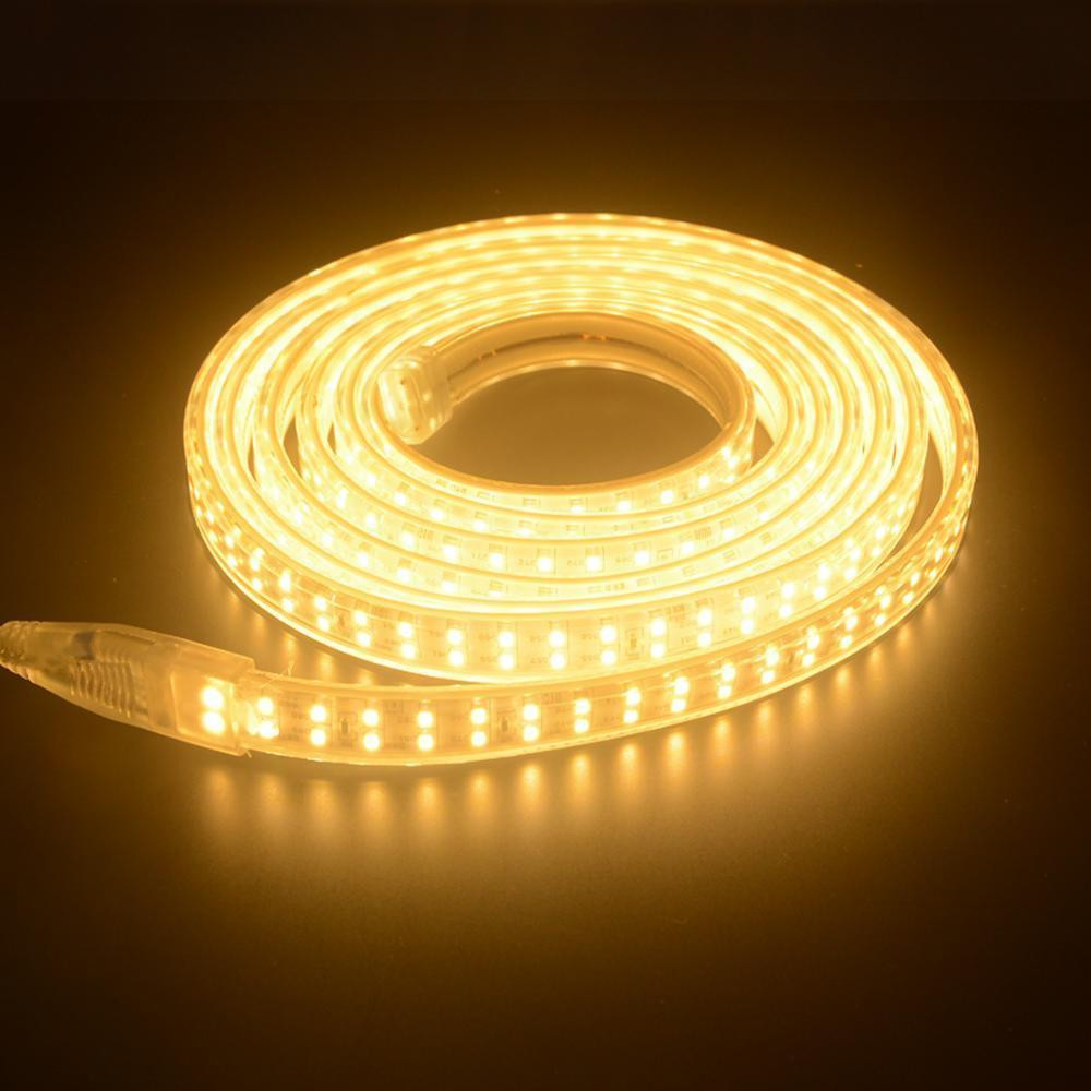 Đèn LED dây ngâm nước được sử dụng chủ yếu trong trang trí tiểu cảnh, hồ cá và hồ bơi.