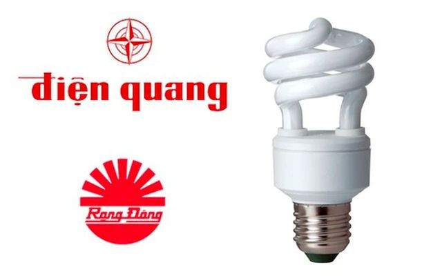 Điện Quang và Rạng Đông là hai thương hiệu đèn LED nổi tiếng của Việt Nam.