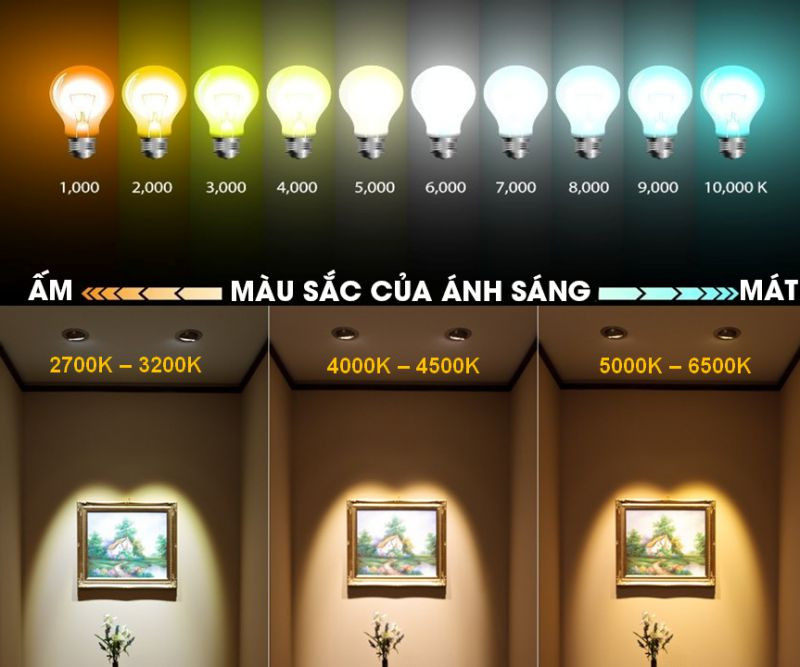 So sánh đèn LED Rạng Đông và Điện Quang