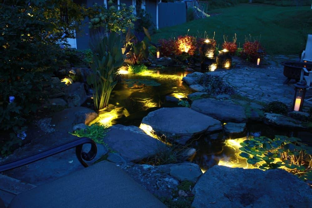 Đèn LED hồ cá có đắt không