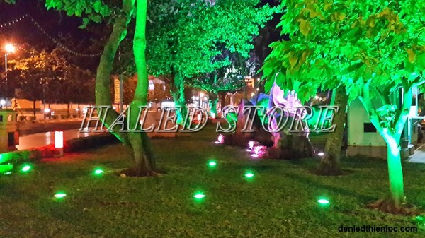 Ứng dụng của đèn LED chiếu cây trang trí công viên