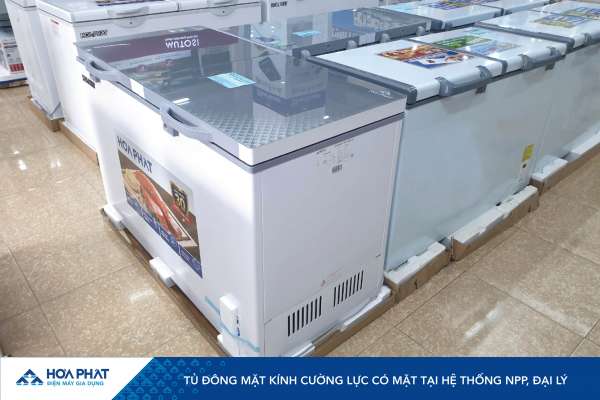 TỦ ĐÔNG MẶT KÍNH CƯỜNG LỰC  HOÀ PHÁT PHỦ KÍN HỆ THỐNG PHÂN PHỐI