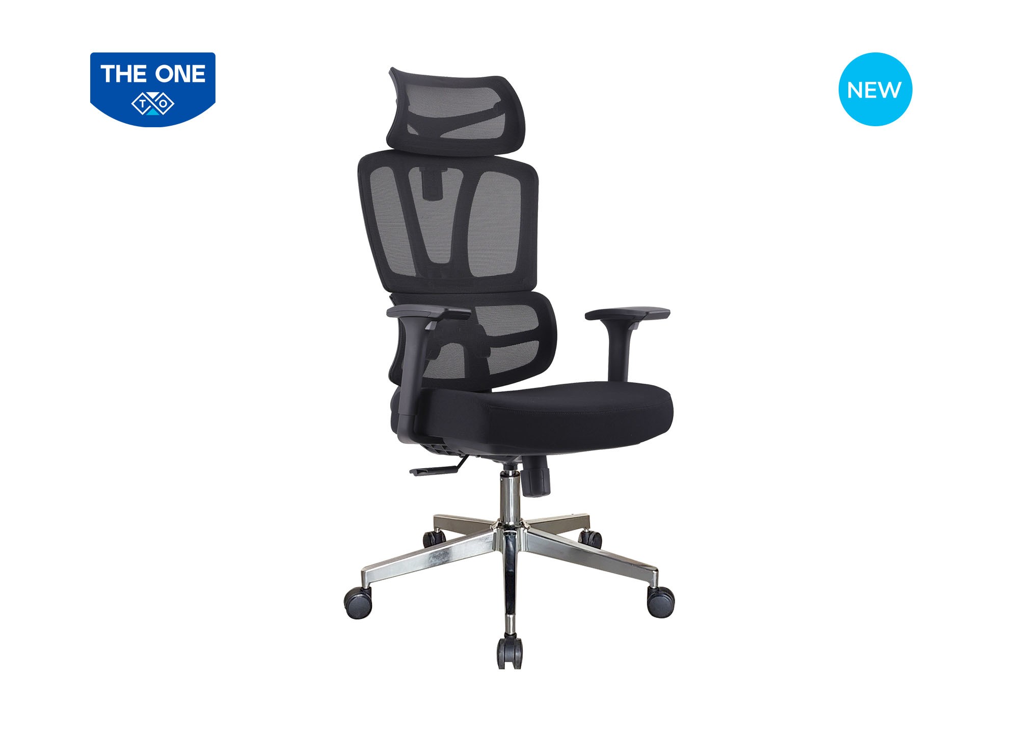 GHẾ CÔNG THÁI HỌC