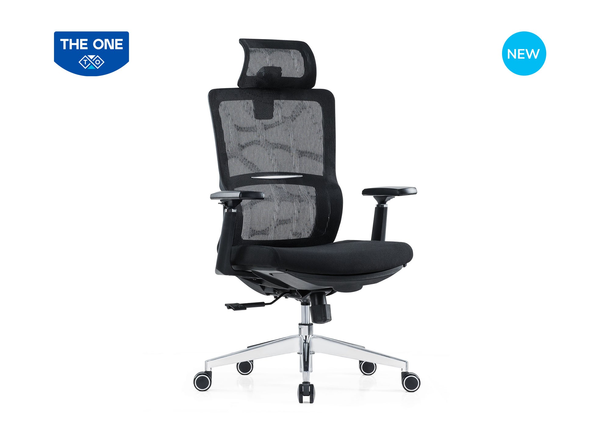 GHẾ CÔNG THÁI HỌC