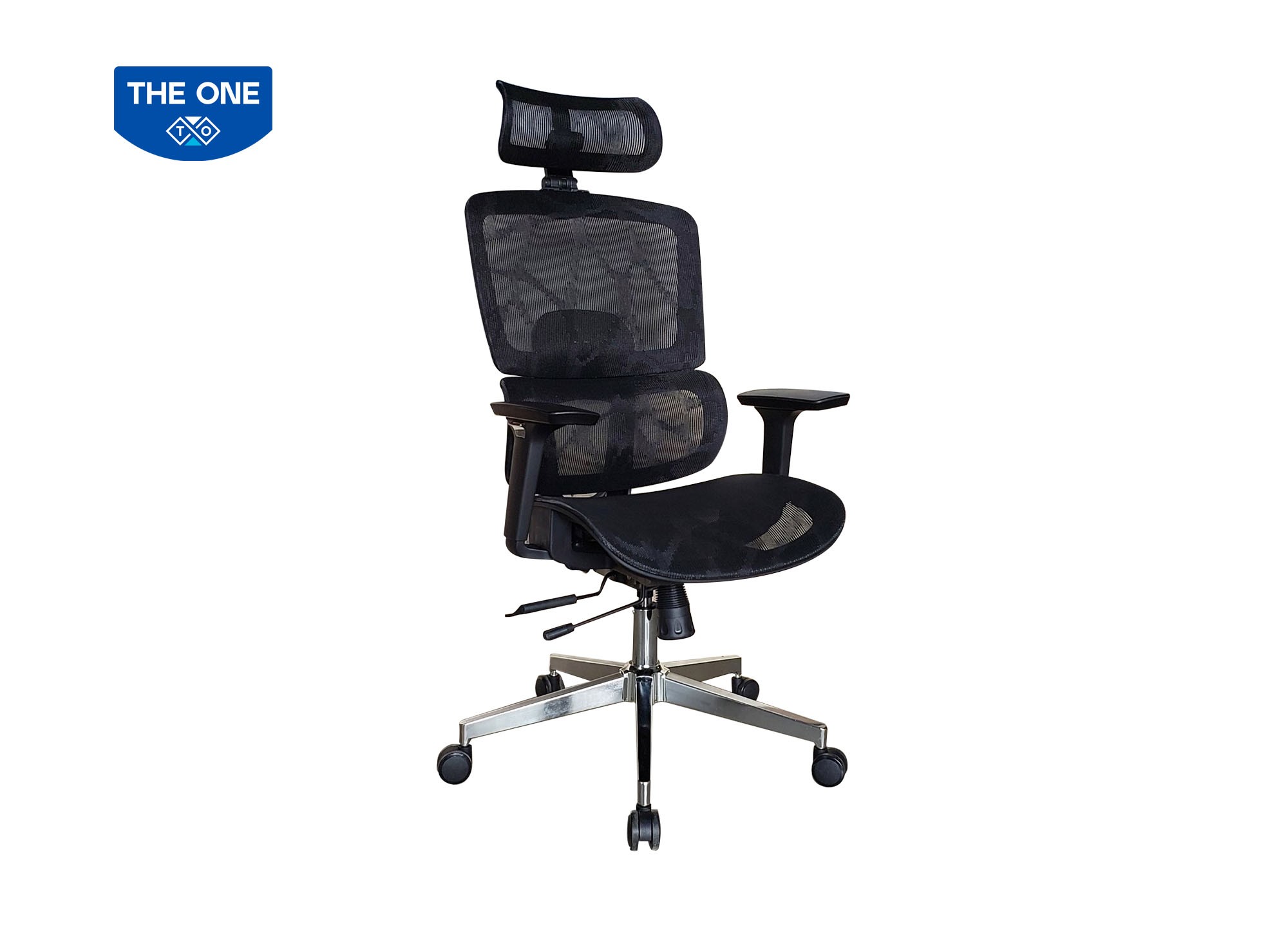 GHẾ CÔNG THÁI HỌC