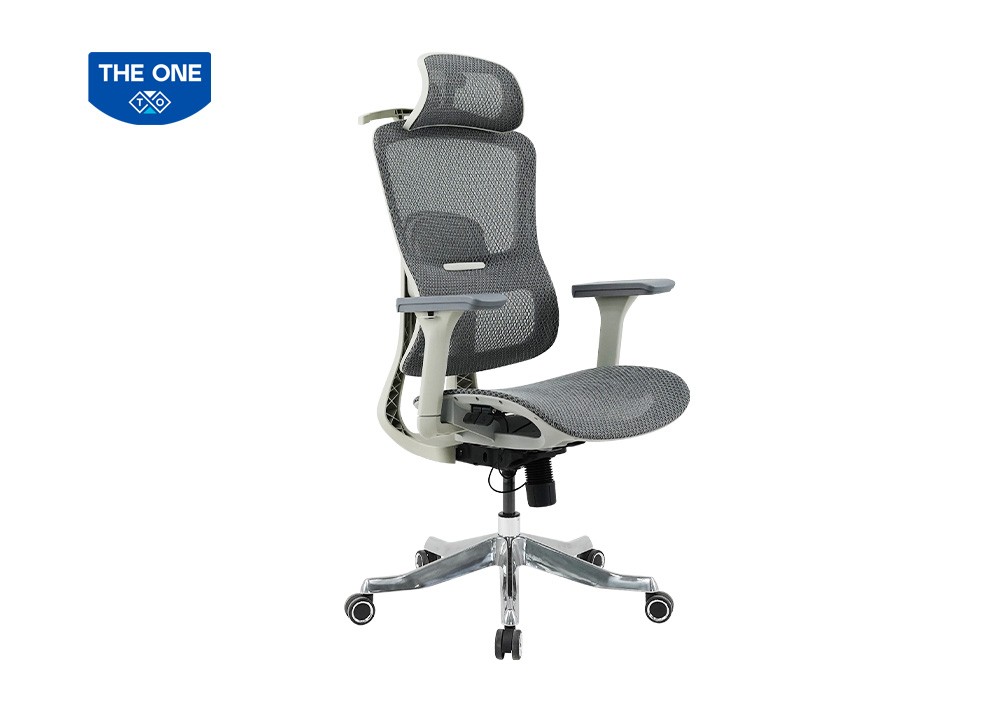 GHẾ CÔNG THÁI HỌC